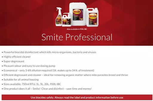 Smite_Professional_–_Smite_Professional.jpg