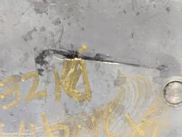 e6bc29f8-5901-4e91-b157-d8909cf0369b.jpeg?