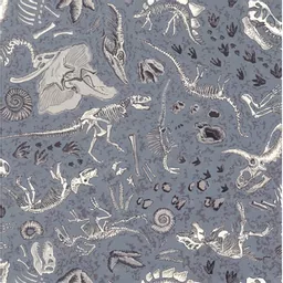 Fossils Textile.jpg