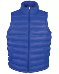 Men's Ice Bird Padded Gilet