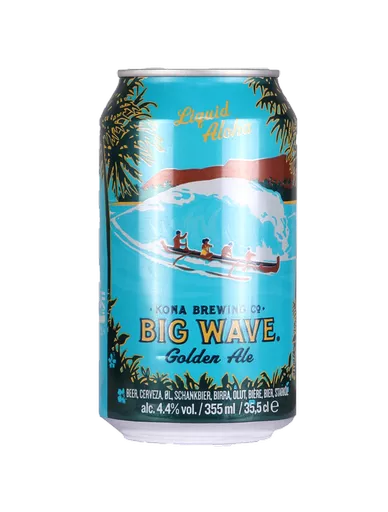 Kona Big Wave can