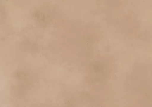 Dusky Sand.webp