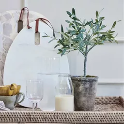 Screenshot 2026-01-28 at 12.04.55.png