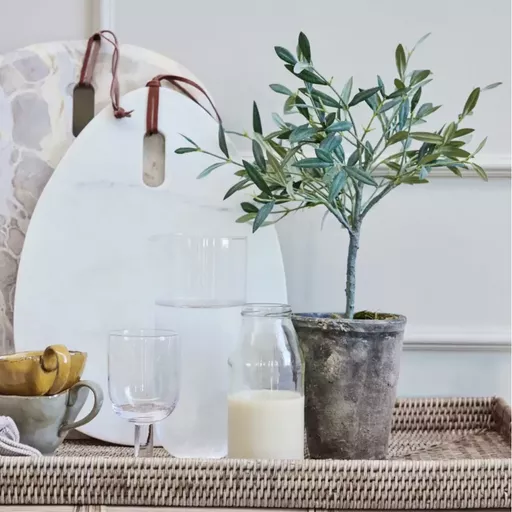 Olive Tree, Ophelia, Green - Small