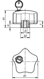 K1378 Locking Star Female Drawing.png