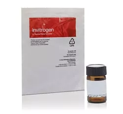 DiOC2(3) (3,3'-Diethyloxacarbocyanine Iodide), Invitrogen