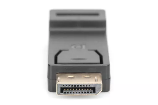 SWNKy-GWtUa7eG_qmQ_ccA.c-r.jpg?