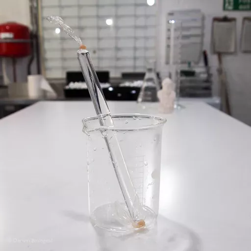 Visking Tubing for Dialysis (Size 4)