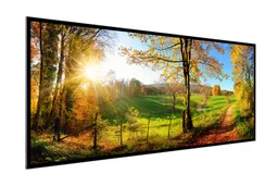 Pana 105X_right facing.png