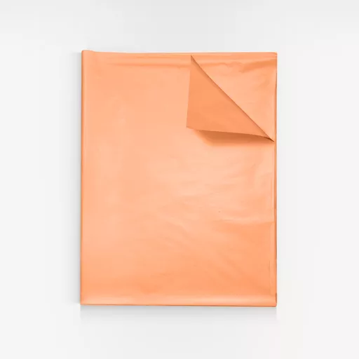 3601327-Apricot-MF-tissue-paper.jpg