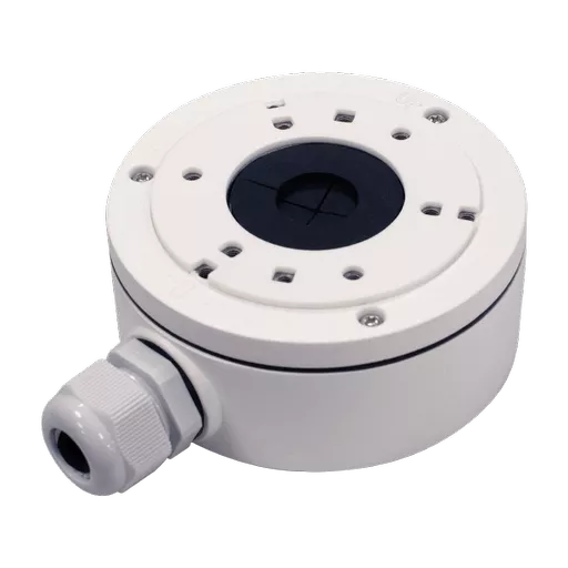 L31079_1.png?