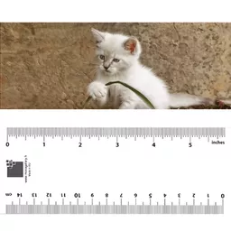 3700574900726_1.jpg