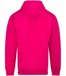 RX350%20FUS%20BACK.jpg?