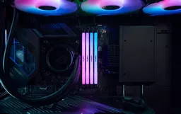 8QTQUXFaS0ue-RYnHbHIkQ.c-r.jpg?