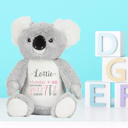 BabyGirlKoala.png