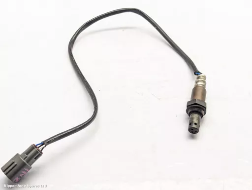 03fd8d61-2498-4e98-bc8d-615e023a471c.jpeg?