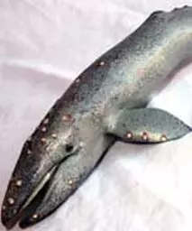https://starbek-static.myshopblocks.com/images/tmp/se_142_whale_177.jpg
