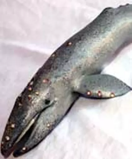 https://starbek-static.myshopblocks.com/images/tmp/se_142_whale_177.jpg