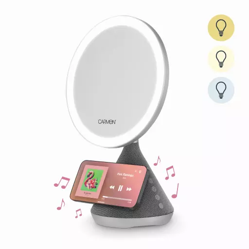 3-in-1 Illuminated LED Mirror