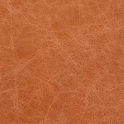 1773492141-98590700.jpg?