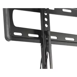 1737647265-03982100.jpg?