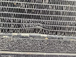 9690c59a-5d05-476c-89fe-a7934d2ba633.jpeg?