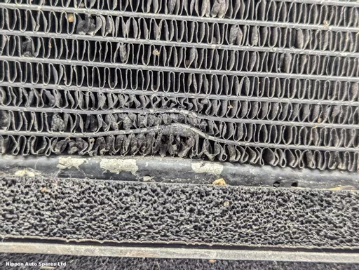 9690c59a-5d05-476c-89fe-a7934d2ba633.jpeg?