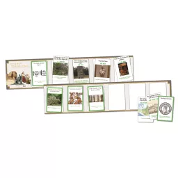 Maya Interactive Timeline.jpg