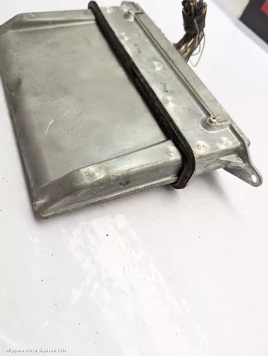 40fd868d-7fb6-4b05-90c1-f903214bcbf8.jpeg?