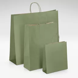 Natural-kraft-green-twist-handles-bag-GROUP.jpg