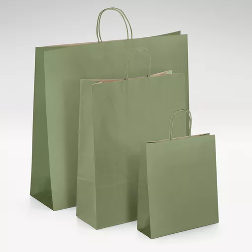 Natural-kraft-green-twist-handles-bag-GROUP.jpg