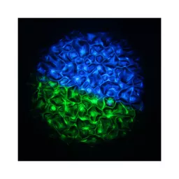 1562861473-26445400.jpg?