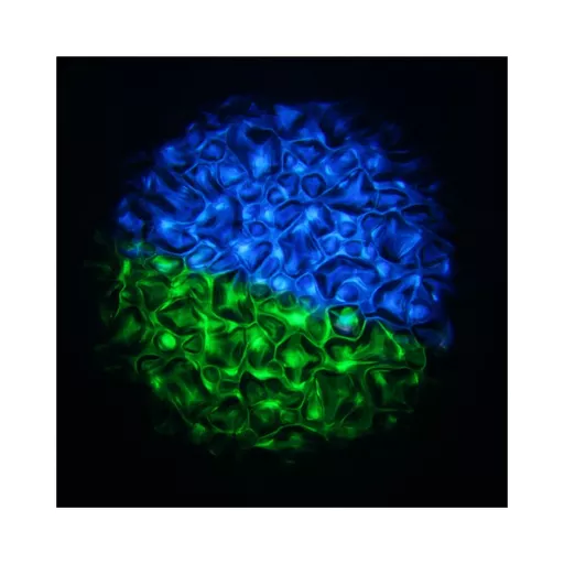 1562861473-26445400.jpg?