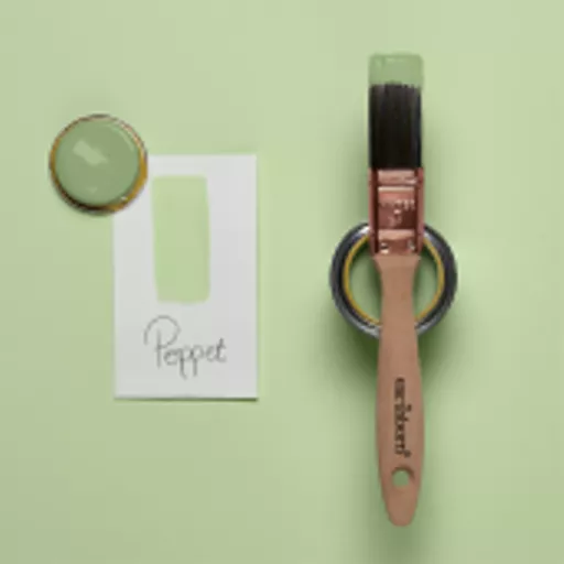 Poppet Brush Shot.webp