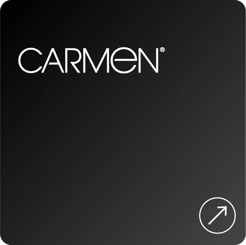 Carmen Before.png