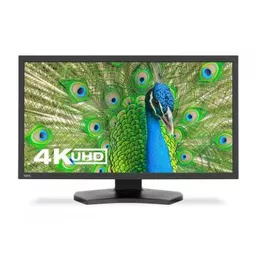 NEC-60004941-Monitor-1.jpg
