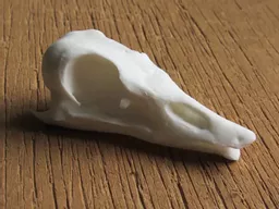 Goose 1.jpg