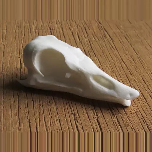 Replica Goose Skull