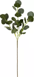 IT379352_1.jpg