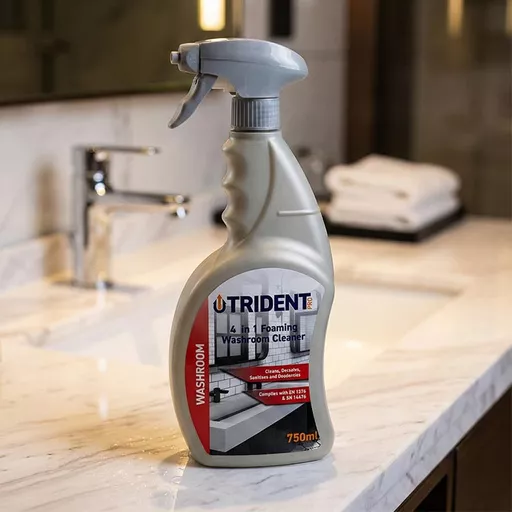 4-in-1-Foaming-Washroom-Cleaner-750ml.jpg