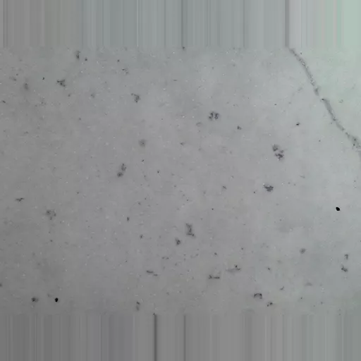 MICROSCOPE SLIDE - Human spermatozoa smear