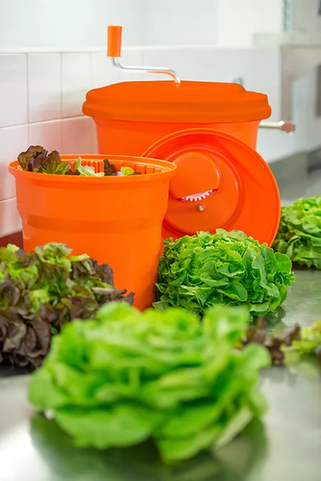 SALAD SPINNERS