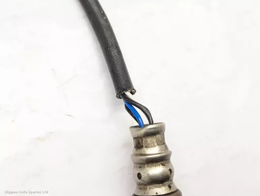 8a2380e6-a5df-4ebc-9d6a-1a83766a578b.jpeg?