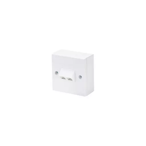 2-Port Angled Cat5e RJ45 Wall plate