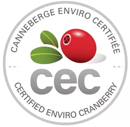 2EYW4X-AcyKpTvbkhP6QDQ.c-r.png?