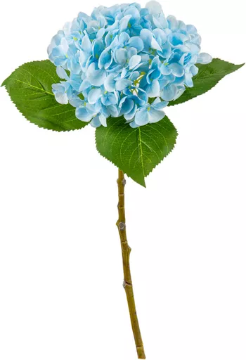 IT393813.jpg
