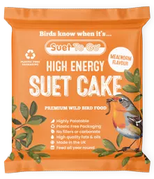 Suet to Go Suet Cake Mealworm.png