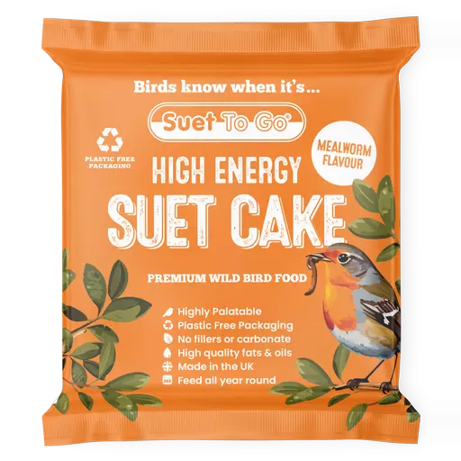 Suet Block with Mealworms