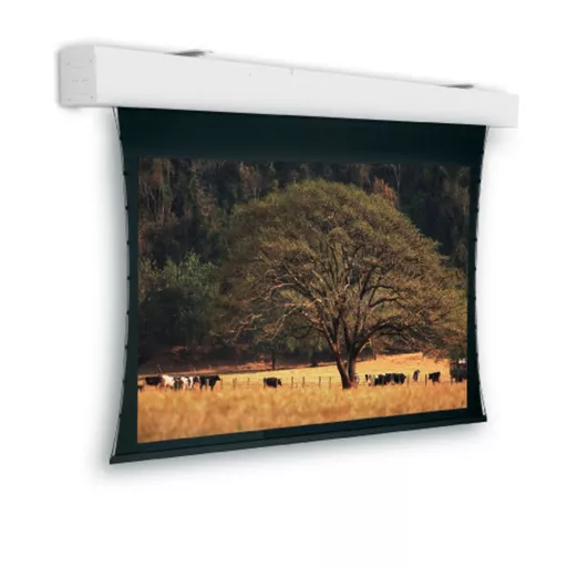 IRcxwOXYi0uQXbdMvAopLg.c-r.jpg?