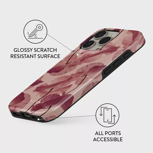 -eXnrl2KN0ashxUTx9mvdQ.c-r.jpg?